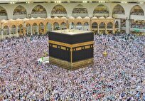 لبیکی هم‌صدا با صد شهید دفاع مقدس در سرزمین وحی