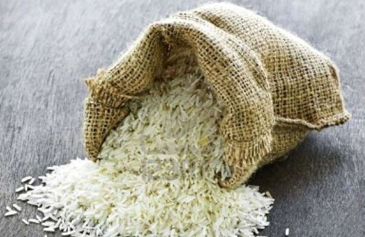 واردات برنج ۱۱۲۱ هندی دوباره آزاد شد