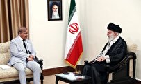 لزوم اقدامات تاثیرگذار برای متوقف کردن جنایات در غزه