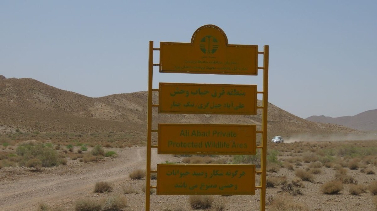 شکار قانونی کمتر از ۶ درصد؛ تضمین حفظ حیات وحش در قرقها