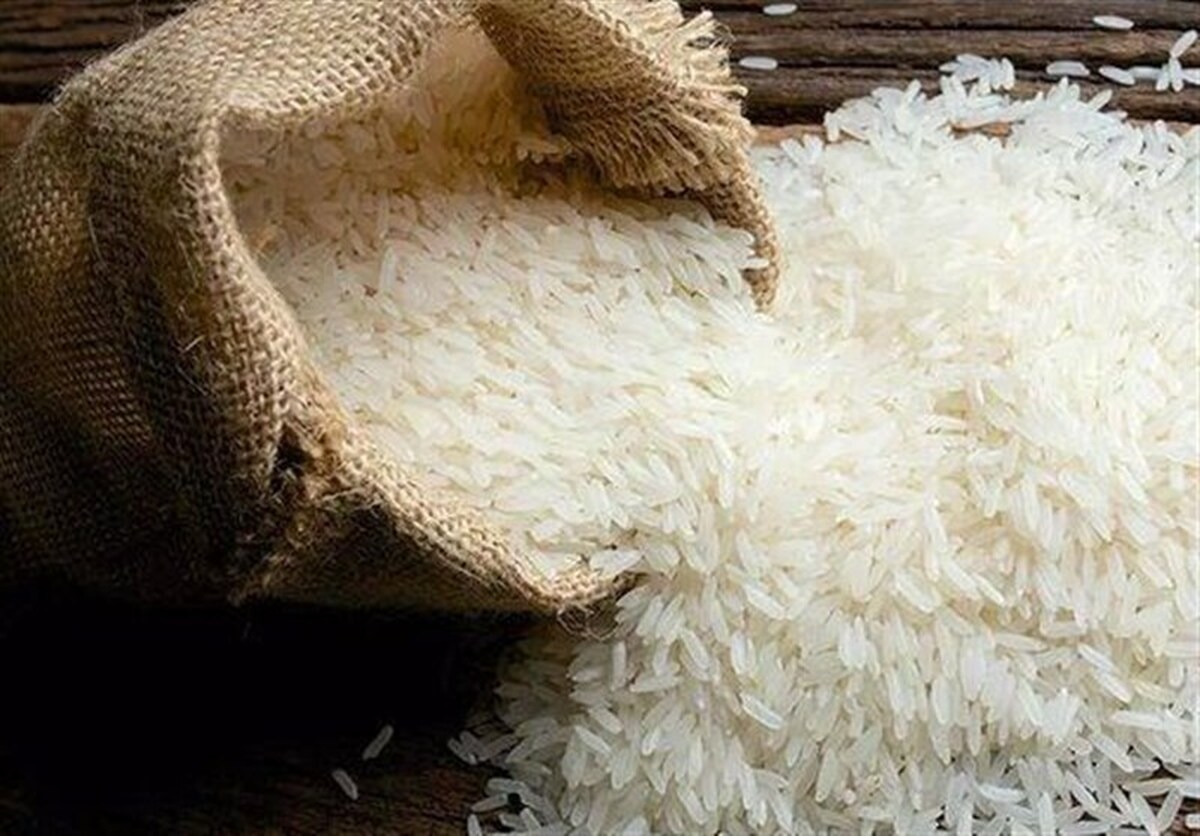 سایه واردات سیاه بر سر برنج ناب ایرانی/ برنج مازندران زیر تیغ بیعدالتی!