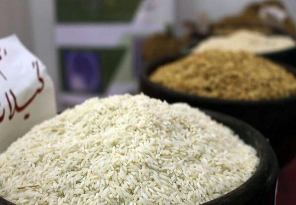 واردات برنج ۷۵ درصد افزایش یافت
