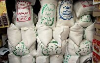 سودجویی ۳ شرکت بازار برنج را در کشور به هم ریخت
