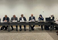 سیاسی‌کاری، شورای حقوق بشر سازمان ملل را بی‌اعتبار می‌کند