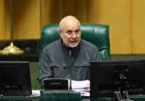 حرف از عدم‌کفایت رئیس‌جمهور و بیانیه‌های کذایی بازی در زمین‌ دشمن است