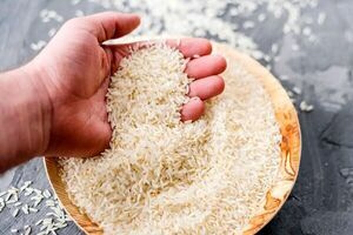الزامات کنترل قیمت‌ها؛ نه به 