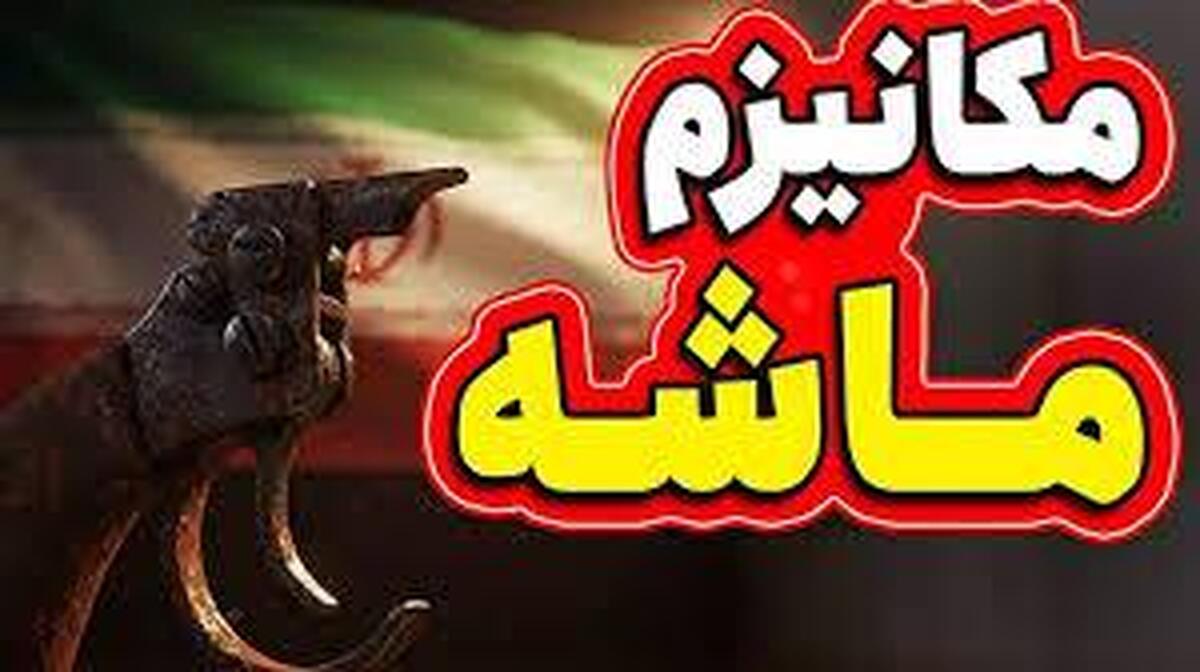تیر آخر صهیونیست‌ها برای تجزیه ایران؟