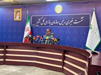 اخطار سازمان بازرسی به بانک‌ها در خصوص ارائه تسهیلات فرزندآوری و ازدواج