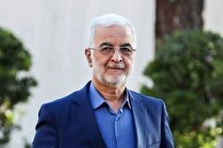 مومنی: امروز کمتر بچه‌دار شدن به نوعی پرستیژ تبدیل شده است