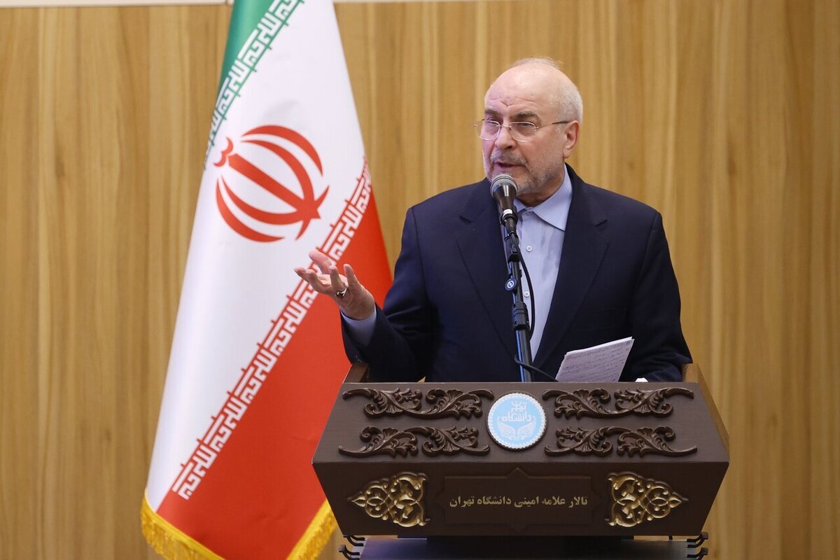 مشارکت معنادار میان نهاد دولتی و نهاد مردمی ضروری است