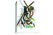 رمان «سایدا» منتشر شد + لینک خرید