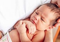 ثبت کاهش 6.5 درصدی ولادت و رشد جمعیت استان بوشهر