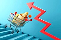 فاصله‌ شعار تا سفره؛ ارزیابی سخنان عارف در سایه جهش قیمت‌ها