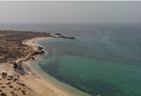 «فارور و بنی‌فارور»؛ زمردهای بکر خلیج فارس در آغوش آبی دریا