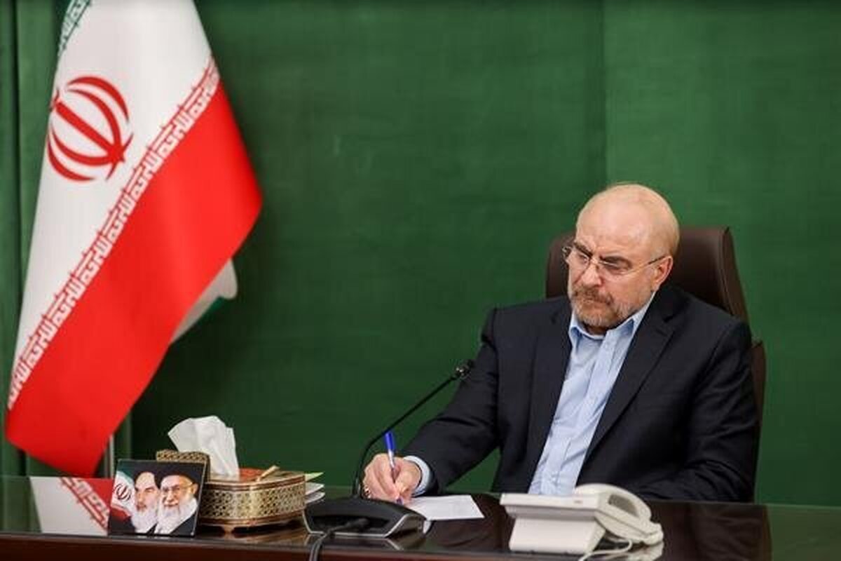 مجلس در مسیر توسعه همکاری‌ها با پاکستان گام برمی‌دارد