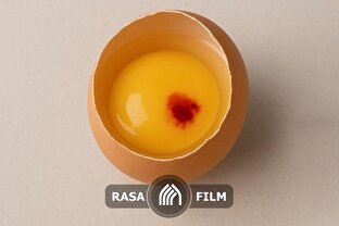 حکم شرعی خون در تخم‌مرغ؛ پاک اما غیرقابل خوردن