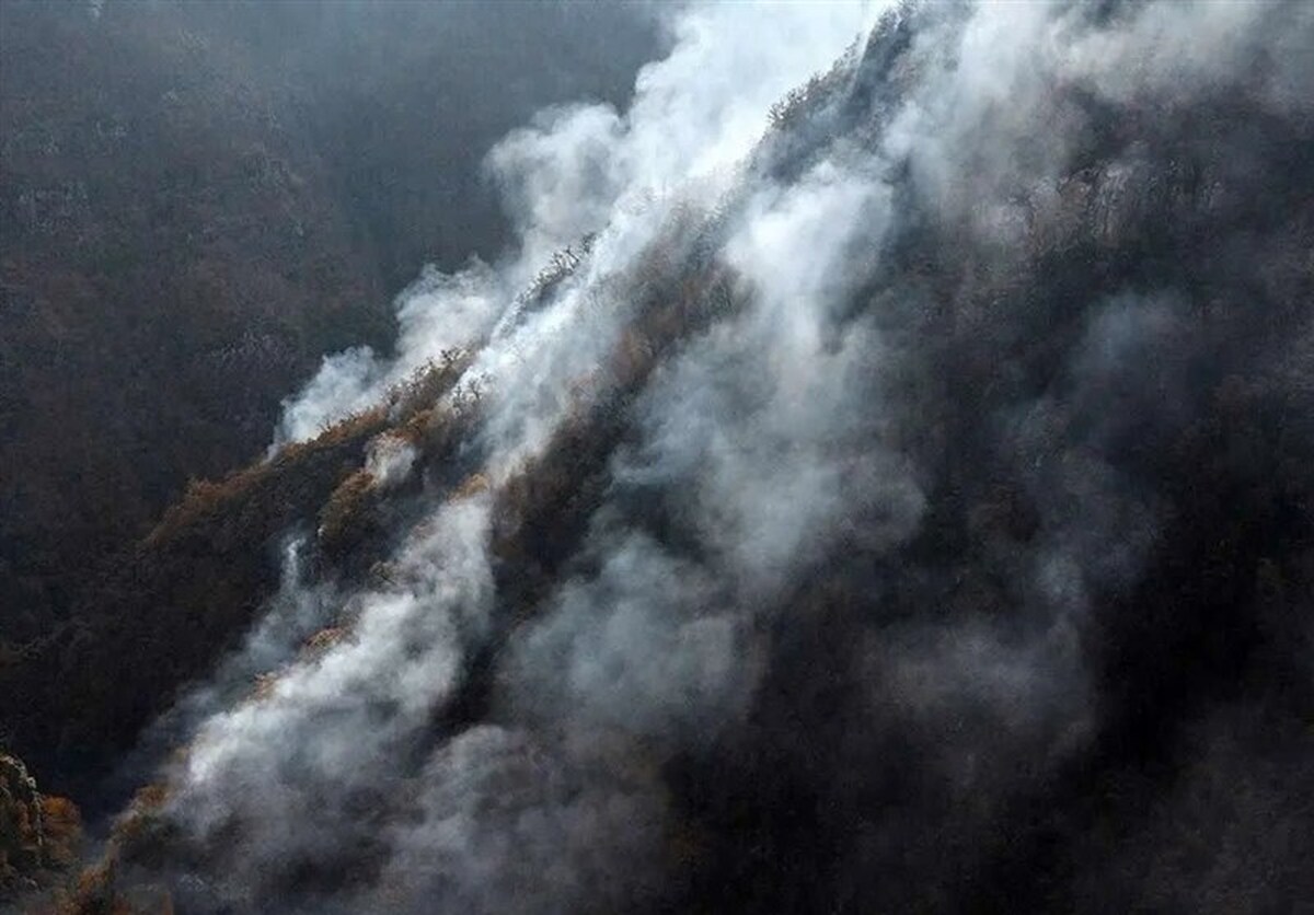 فاجعه در جنگل‌های هیرکانی/ آتش همچنان زبانه می‌کشد؟/ ردپای خطای انسانی در آتش الیت!