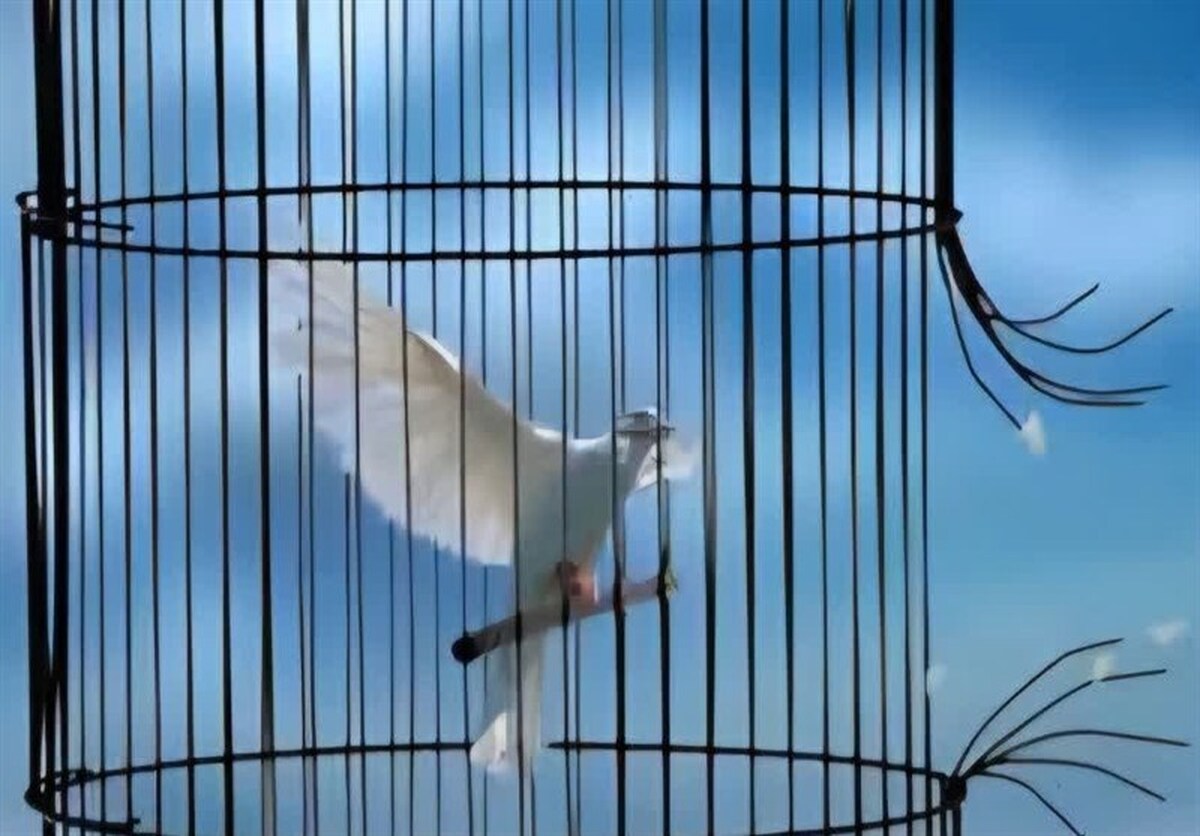 آزادی ۵ بانوی مددجوی زندان کاشان به مناسبت روز زن