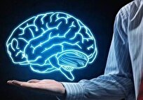 آموزش خانواده‌ها راهکار مؤثر برای بهبود مراقبت خانگی بیماران اعصاب و روان