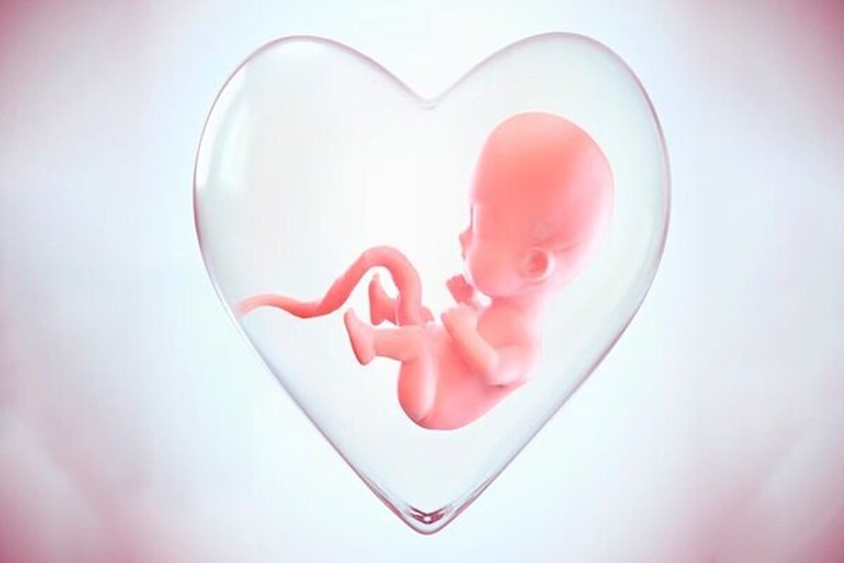 منصرف شدن ۱۹ هزار مادر از سقط جنین به کمک شبکه «نفس»