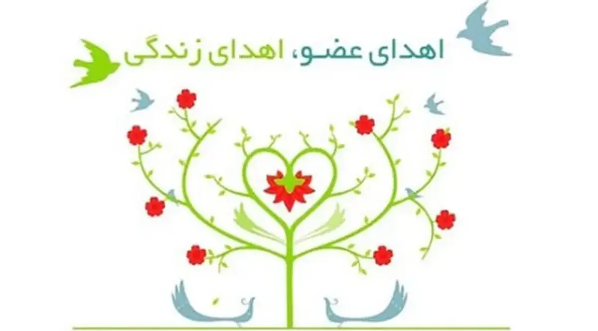 چهارمحال و بختیاری؛ استان برتر کشور در اهدای عضو