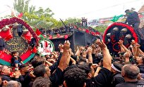 آیین سنتی نخل‌گردانی روز ششم امام حسین در نیاسر کاشان برگزار شد + فیلم و عکس