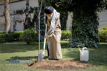 کاشت نهال در هفته منابع طبیعی توسط مقام معظم رهبری