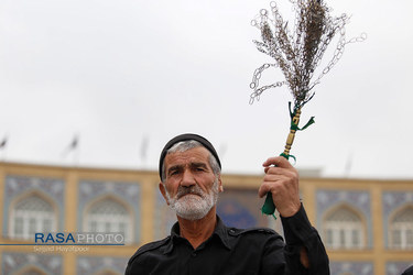 عزاداری روز ۲۸ صفر در قم