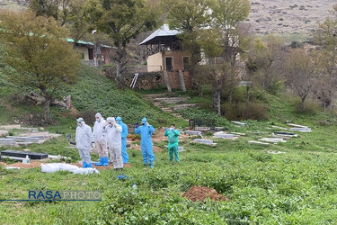 دفن اموات کرونایی توسط طلاب جهادی