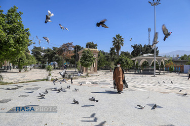 مراسم جزءخوانی در حرم مطهر امامزاده عبدالله گرگان