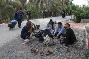 پیاده روی زائران اربعین حسین (ع) در طریق العلما